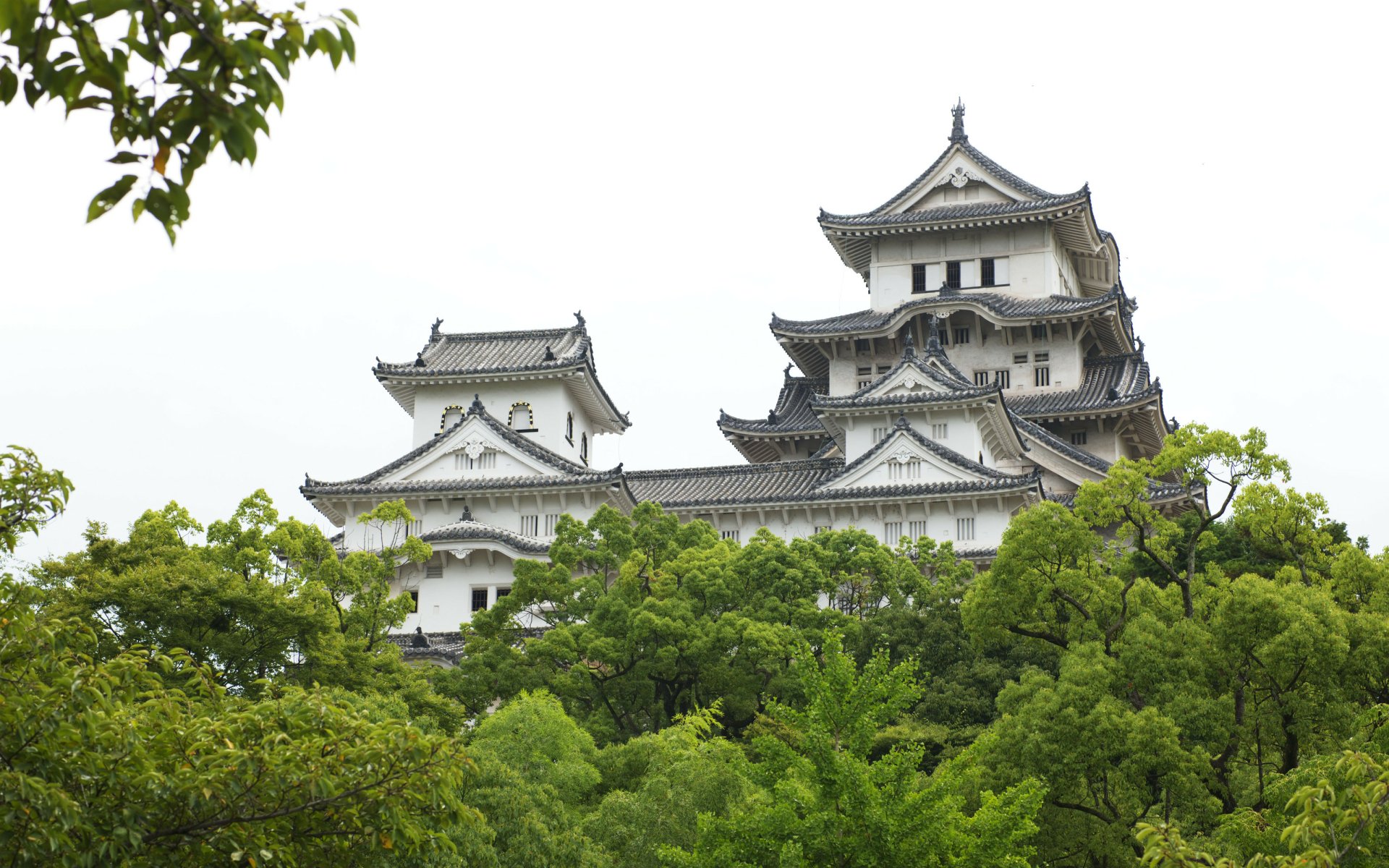 2K Quad HD PC desktop wallpaper background: white multi-tiered religious pagoda rising above lush green trees against a pale sky.