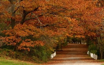HD Wallpaper | Background Image ID:432625