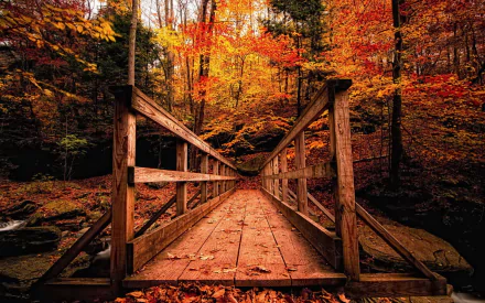 A serene wooden bridge stretches across a forest path, surrounded by vibrant autumn leaves, creating a stunning HD desktop wallpaper and background.