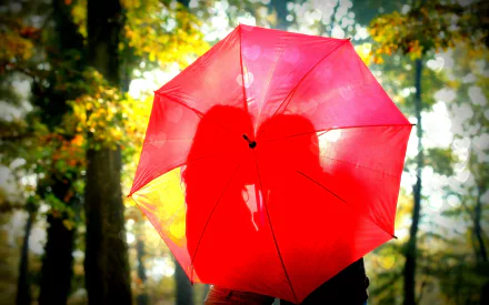  Stealing a Kiss Behind the Umbrella♥♥