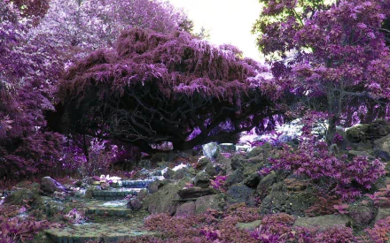 A vibrant garden scene showcasing a lush, purple-toned landscape with a large tree and rocky features, designed for a striking HD desktop wallpaper and background.