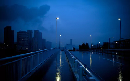 HD cityscape wallpaper showing a wet, empty bridge with streetlights glowing under a dark, cloudy sky in a man-made urban environment.