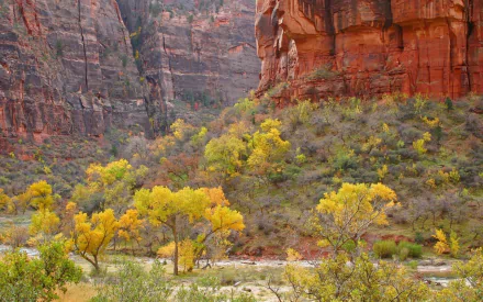 Nature desert HD PC desktop wallpaper: red sandstone canyon with yellow-leaved trees along a dry riverbed, vivid colors and a wide vista for background.