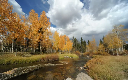 HD PC desktop wallpaper featuring a serene river winding through autumn trees under a dramatic cloudy sky in a natural landscape.