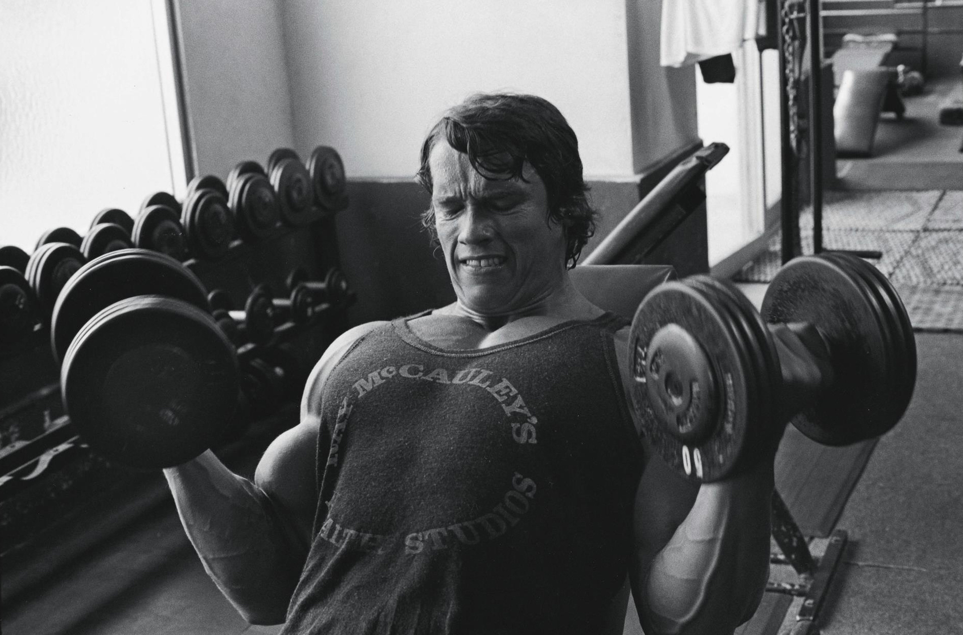 Celebrity Arnold Schwarzenegger HD Wallpaper | Background Image