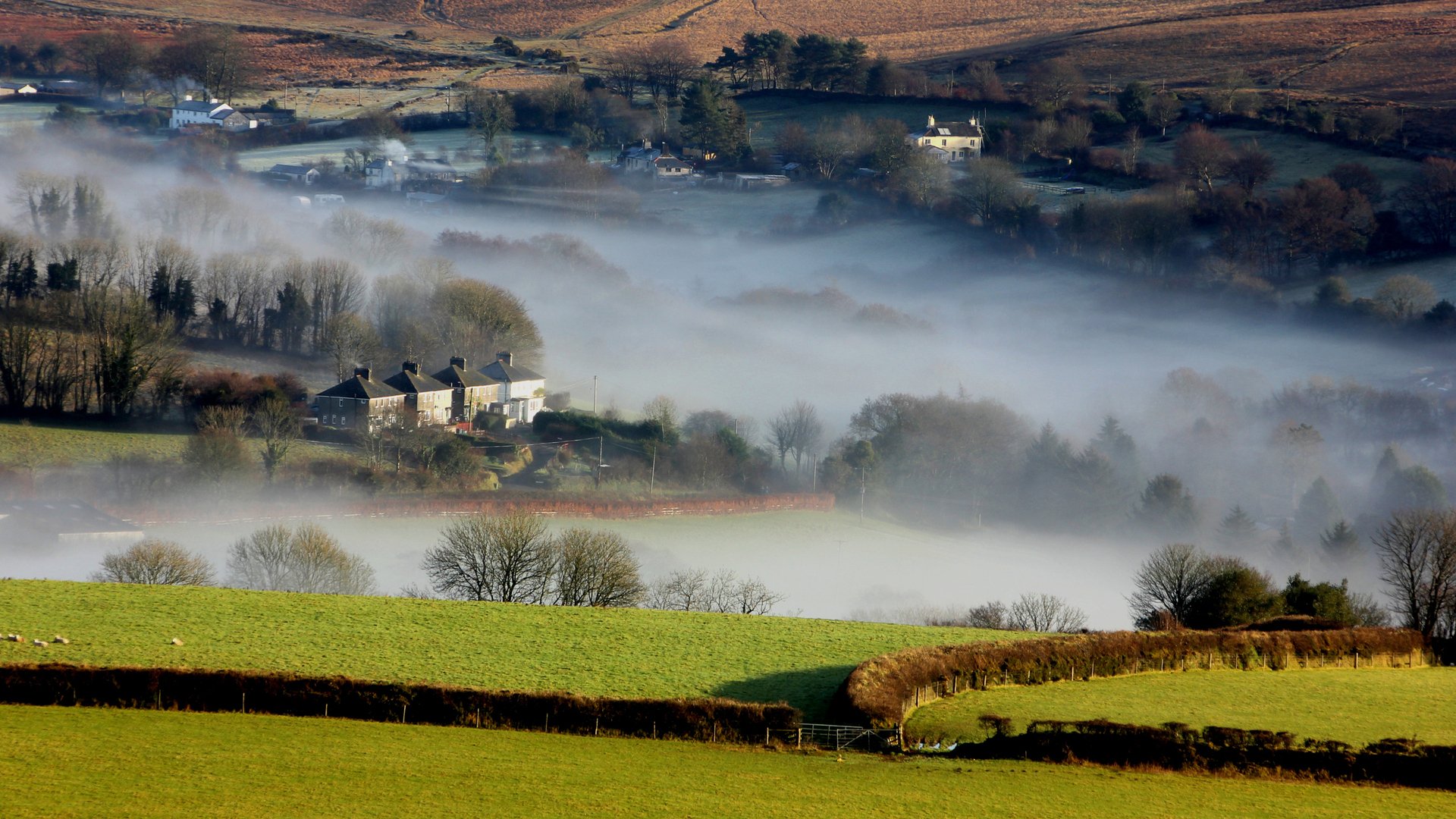 Download Nature Fog HD Wallpaper