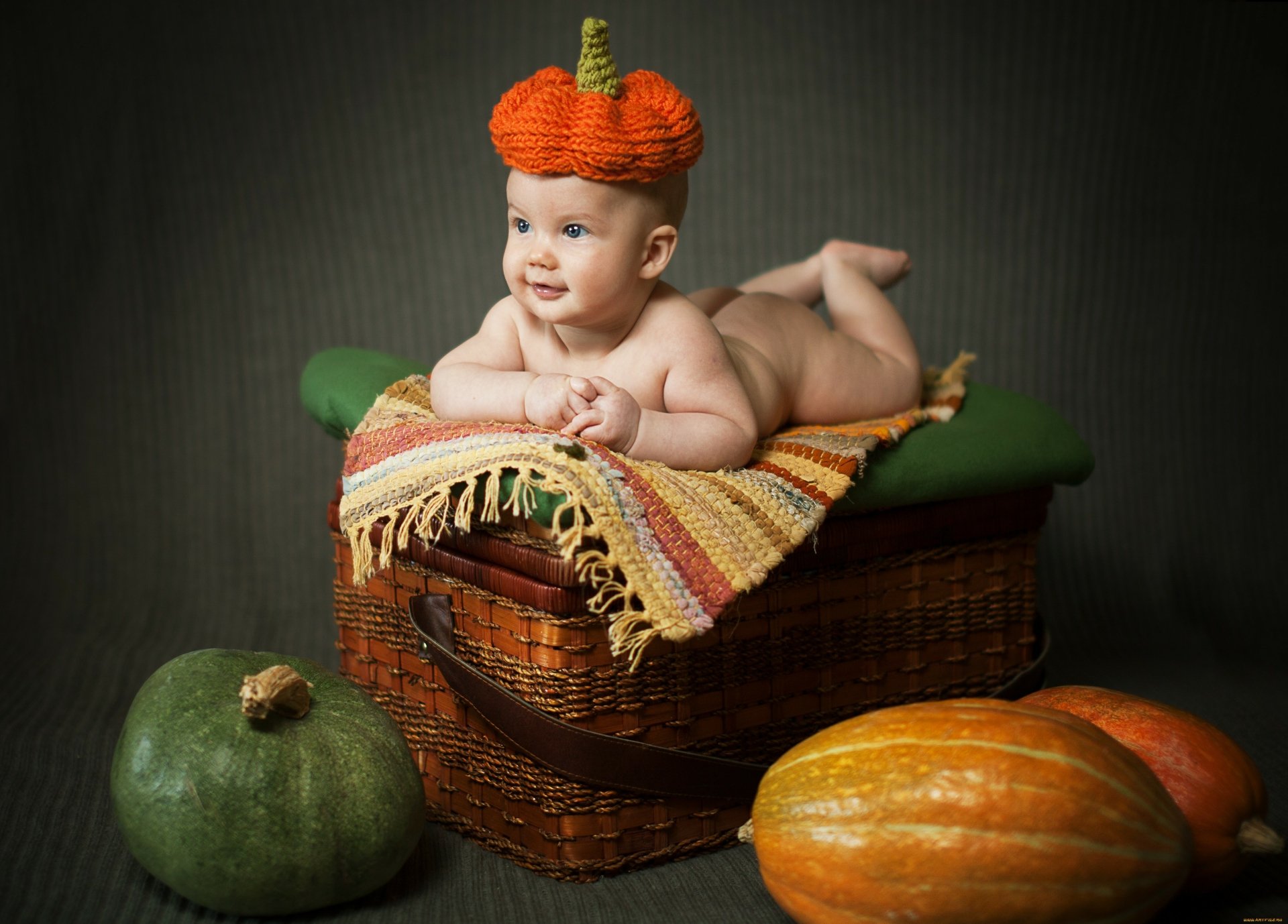 Download Photography Baby 4k Ultra HD Wallpaper