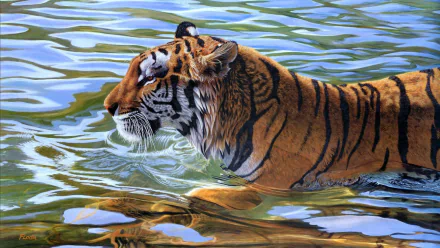 HD wallpaper of a tiger swimming in clear water, showcasing its striking stripes and powerful build. Background features rippling water, reflecting the tiger’s vibrant colors. 

