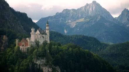 man made Neuschwanstein Castle HD Desktop Wallpaper | Background Image