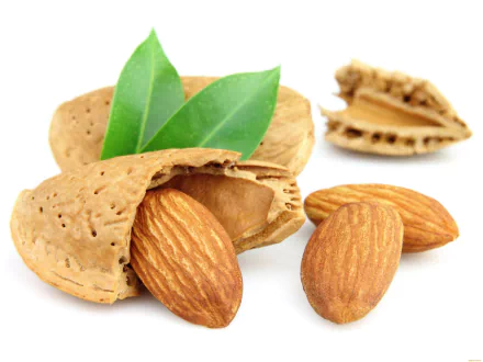 A high-definition desktop wallpaper featuring almonds in their shells, surrounded by green leaves, showcasing the natural beauty of this nutritious food.
