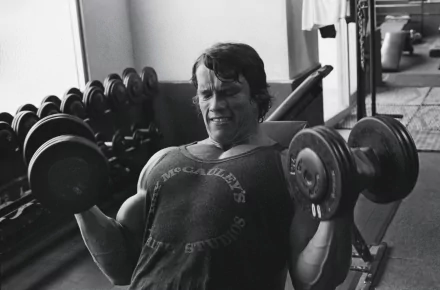 Arnold Schwarzenegger lifts weights in a gym, showcasing his iconic physique. This high-definition image serves as a striking desktop wallpaper and background.