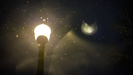 man made lamp post HD Desktop Wallpaper | Background Image