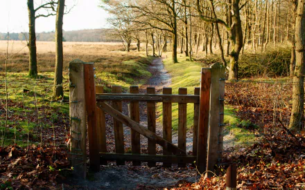 man made fence HD Desktop Wallpaper | Background Image