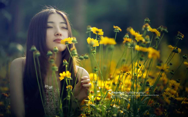 HD desktop wallpaper of an Asian woman sitting in a field of yellow flowers, evoking a tranquil and serene mood.