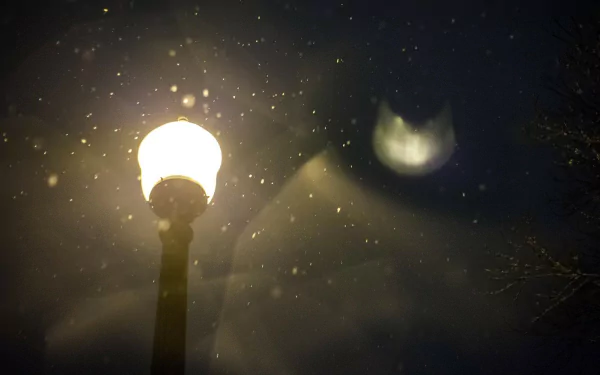 man made lamp post HD Desktop Wallpaper | Background Image