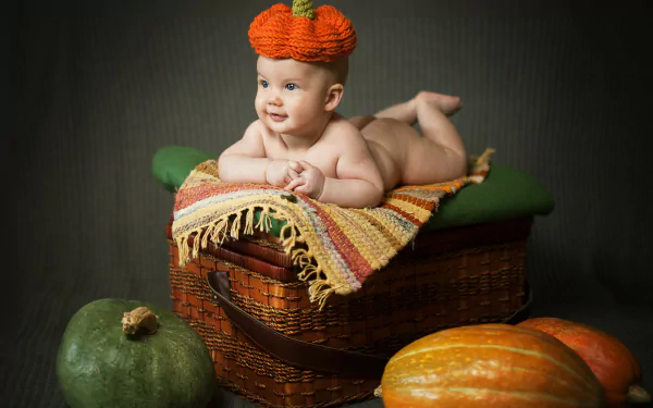 photography baby HD Desktop Wallpaper | Background Image