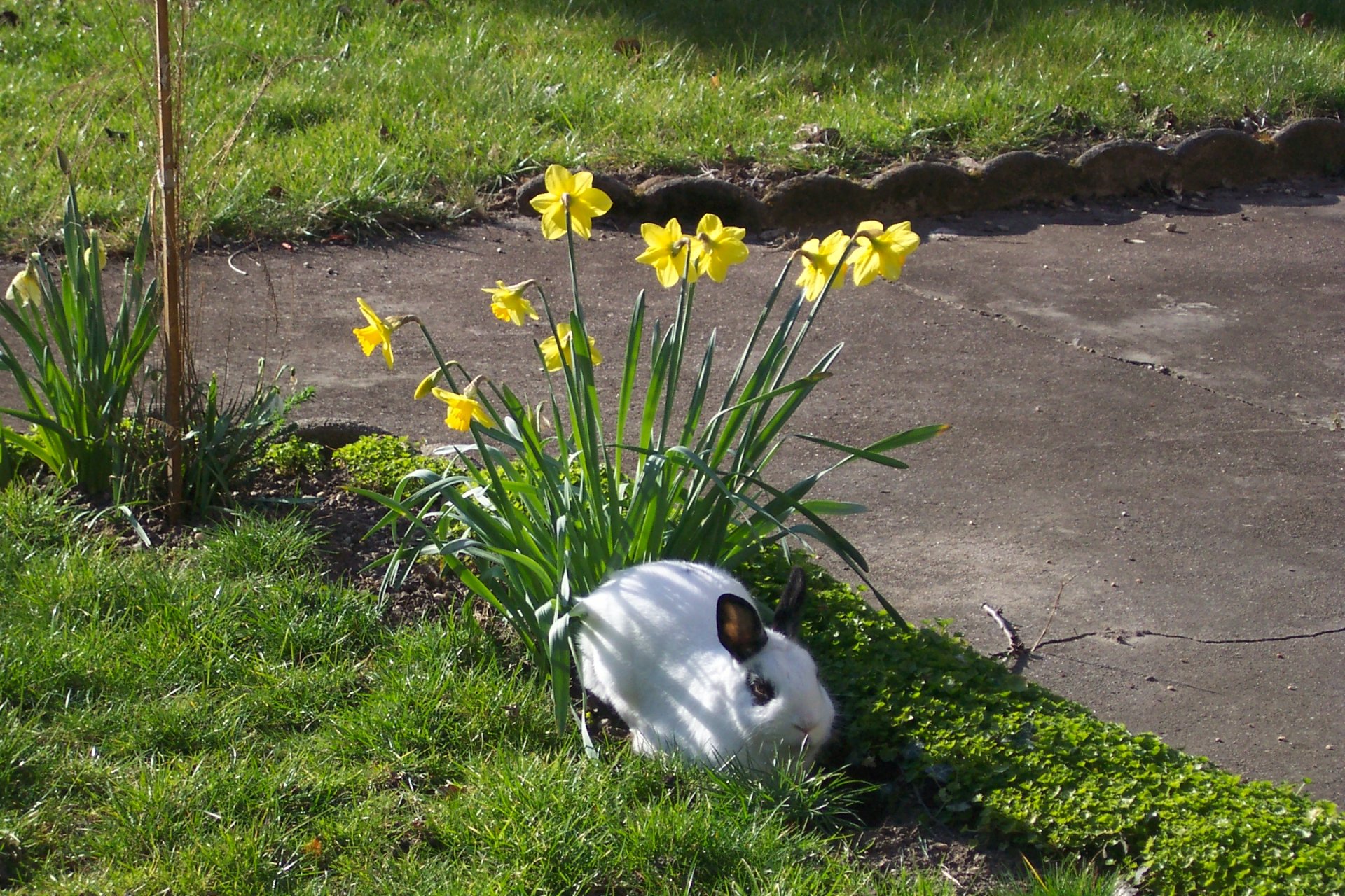 Titouille by misscrobenini