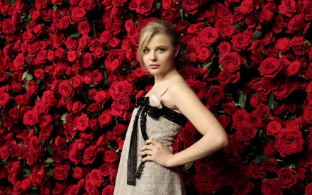 Chloë Grace Moretz poses gracefully in front of a vibrant wall of red roses, showcasing elegance and style in this HD desktop wallpaper.