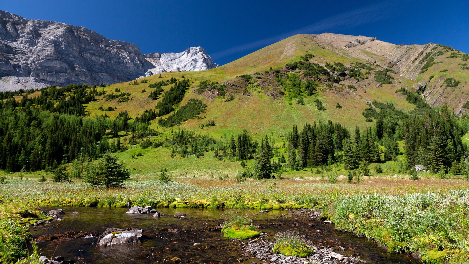 A stunning HD wallpaper featuring a serene mountain landscape with lush greenery and a flowing stream, capturing the beauty of nature in vibrant detail.