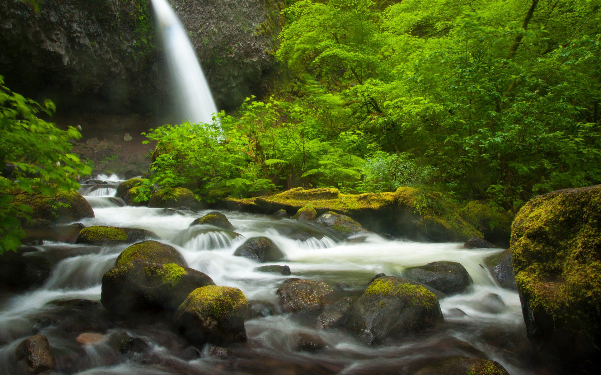 Nature HD PC desktop wallpaper: a lush green forest waterfall cascading over moss-covered rocks into a misty, flowing stream.