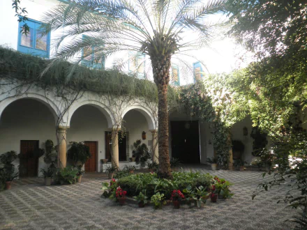 Man-made terrace courtyard with a central palm, arched colonnade, potted plants and patterned tile — HD PC desktop wallpaper/background.