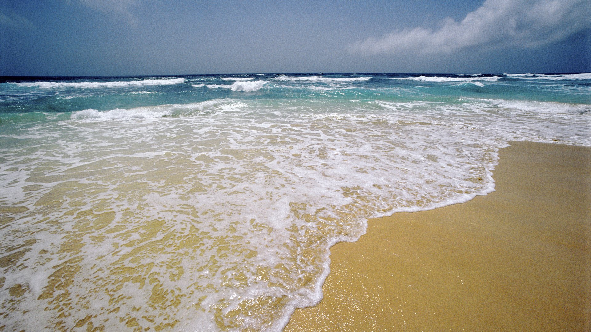 Download Nature Beach HD Wallpaper