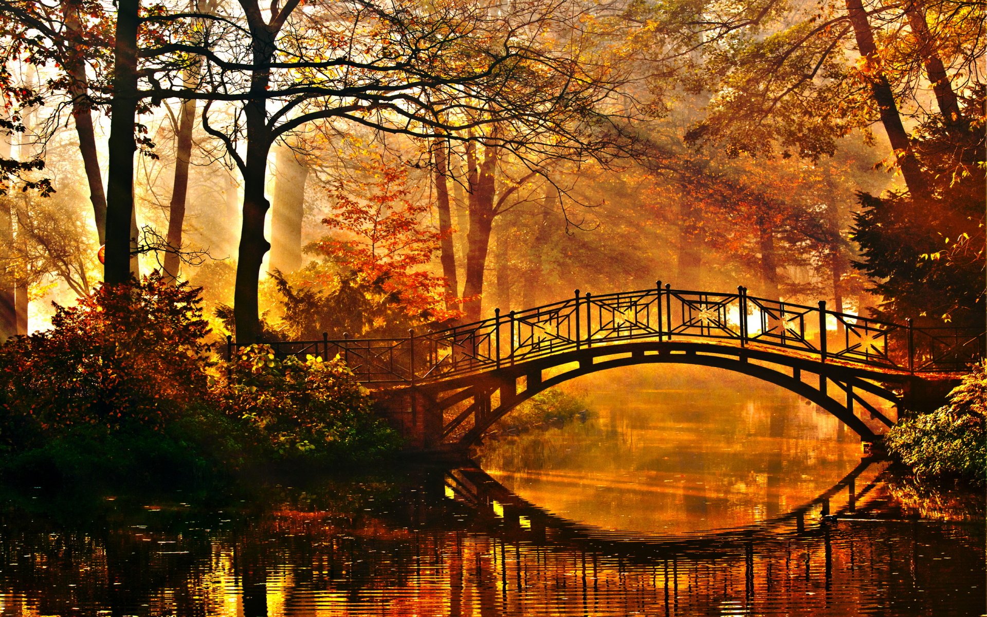 Autumn Glow Bridge – Stunning HD Man-Made Landscape Wallpaper ...