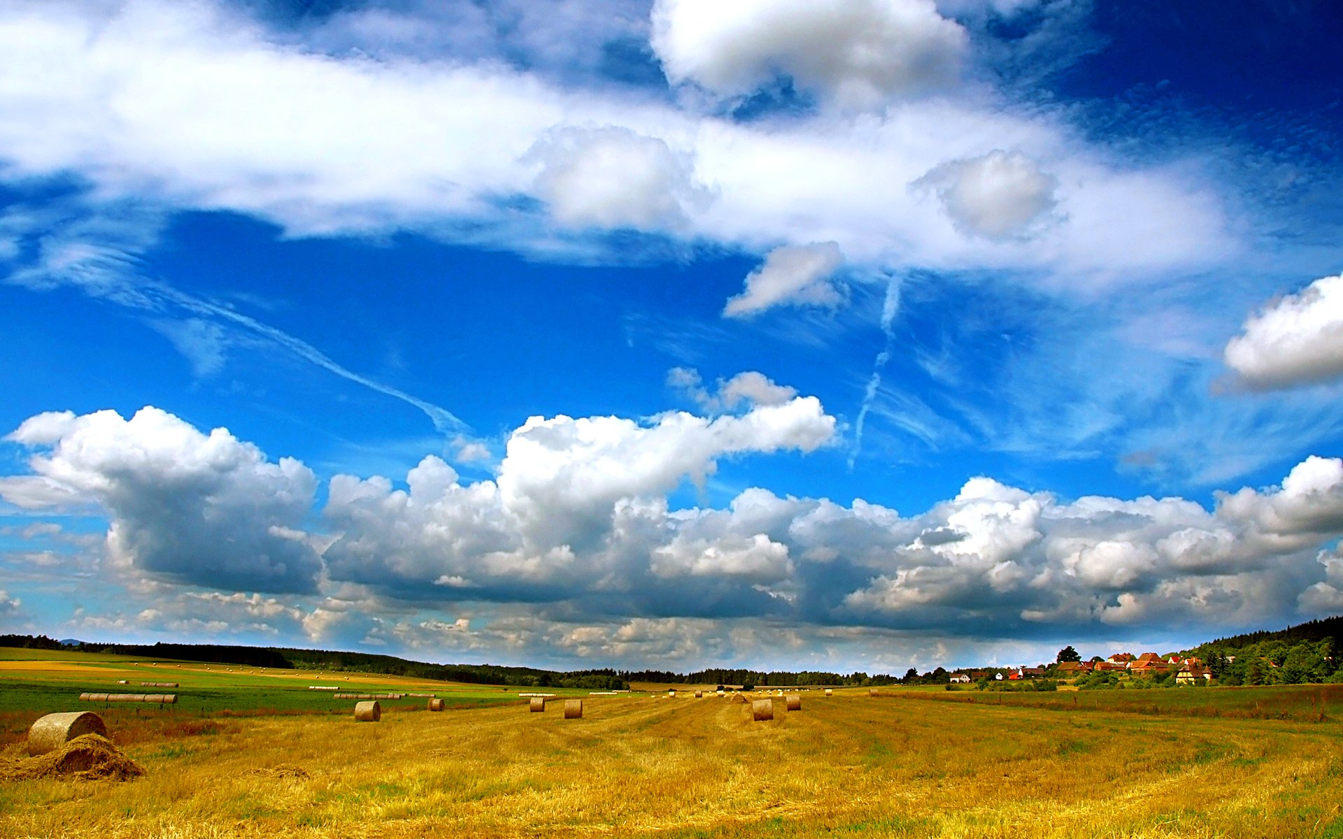 HD PC desktop wallpaper showing a vast nature field under a bright blue sky with scattered clouds.