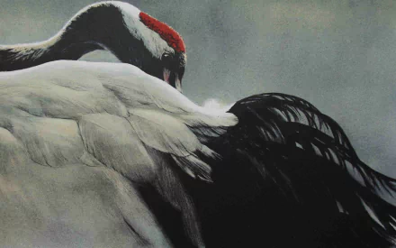 Animal Red-crowned Crane Crane (bird) HD Desktop Wallpaper | Background Image