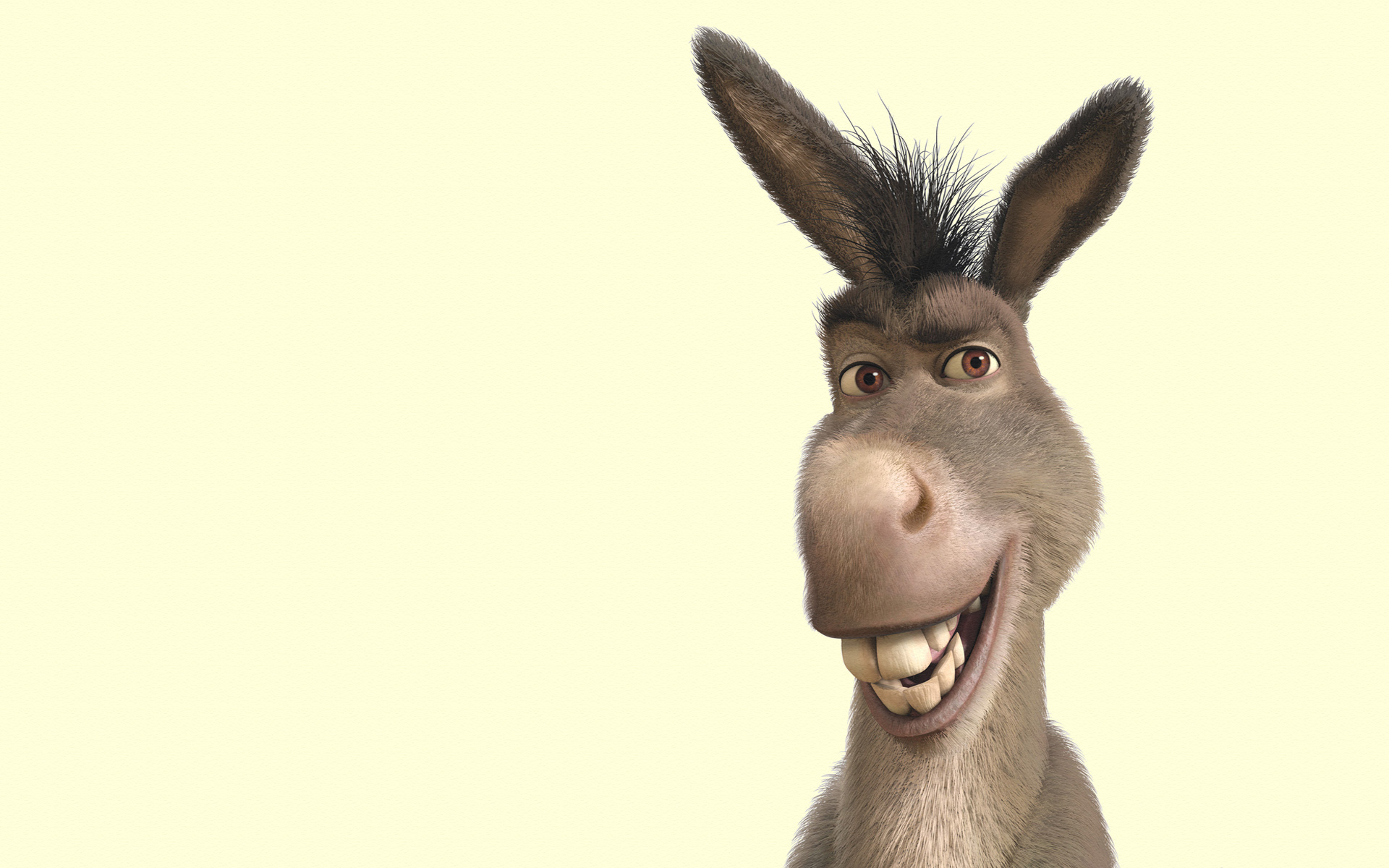 Burro shrek4k