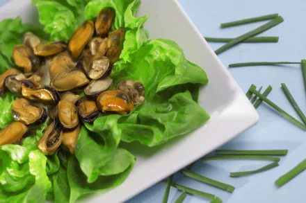 food Mussels HD Desktop Wallpaper | Background Image