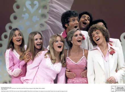 brady bunch TV Show the brady bunch hour HD Desktop Wallpaper | Background Image
