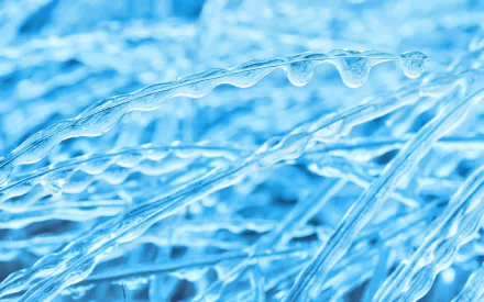 nature ice HD Desktop Wallpaper | Background Image
