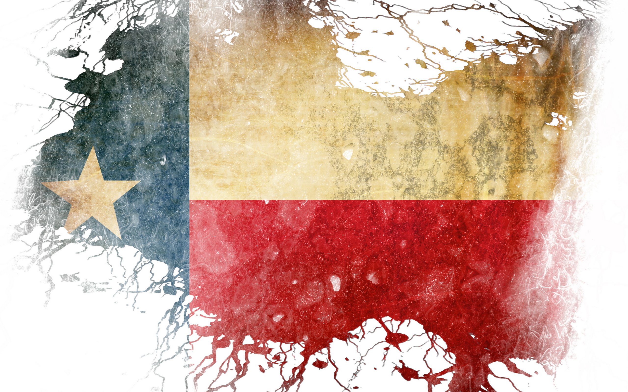 Flag Of Texas HD Wallpaper | Background Image | 2560x1600