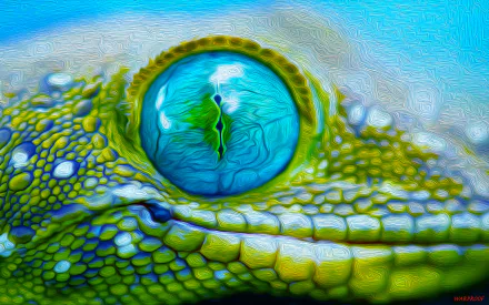 Close-up HD desktop wallpaper of a gecko's eye showcasing vibrant blue and green scales with detailed textures and water droplets.