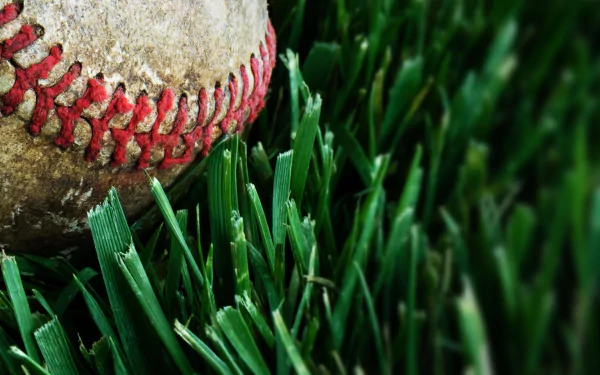 A close-up of a weathered baseball resting on vibrant green grass, capturing the essence of baseball and sports in a striking HD desktop wallpaper.