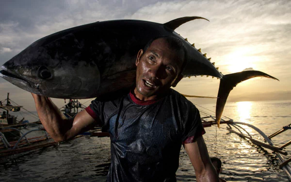 A fisherman proudly carries a large fish on his shoulder against a sunset backdrop, capturing the essence of fishing life in this vibrant HD desktop wallpaper.