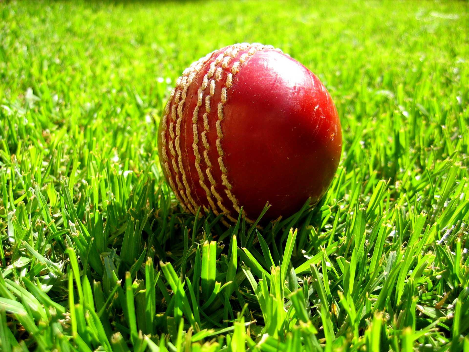 Sports Cricket HD Wallpaper | Background Image