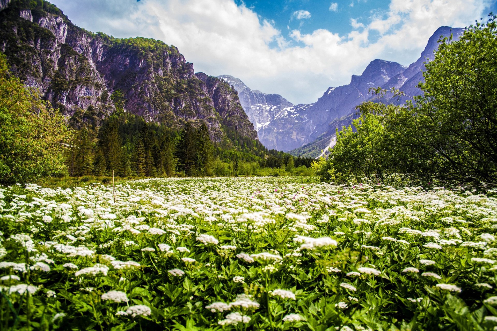 Mountain natural. Природа. Горы лето. Красота природы. Красивые горы.