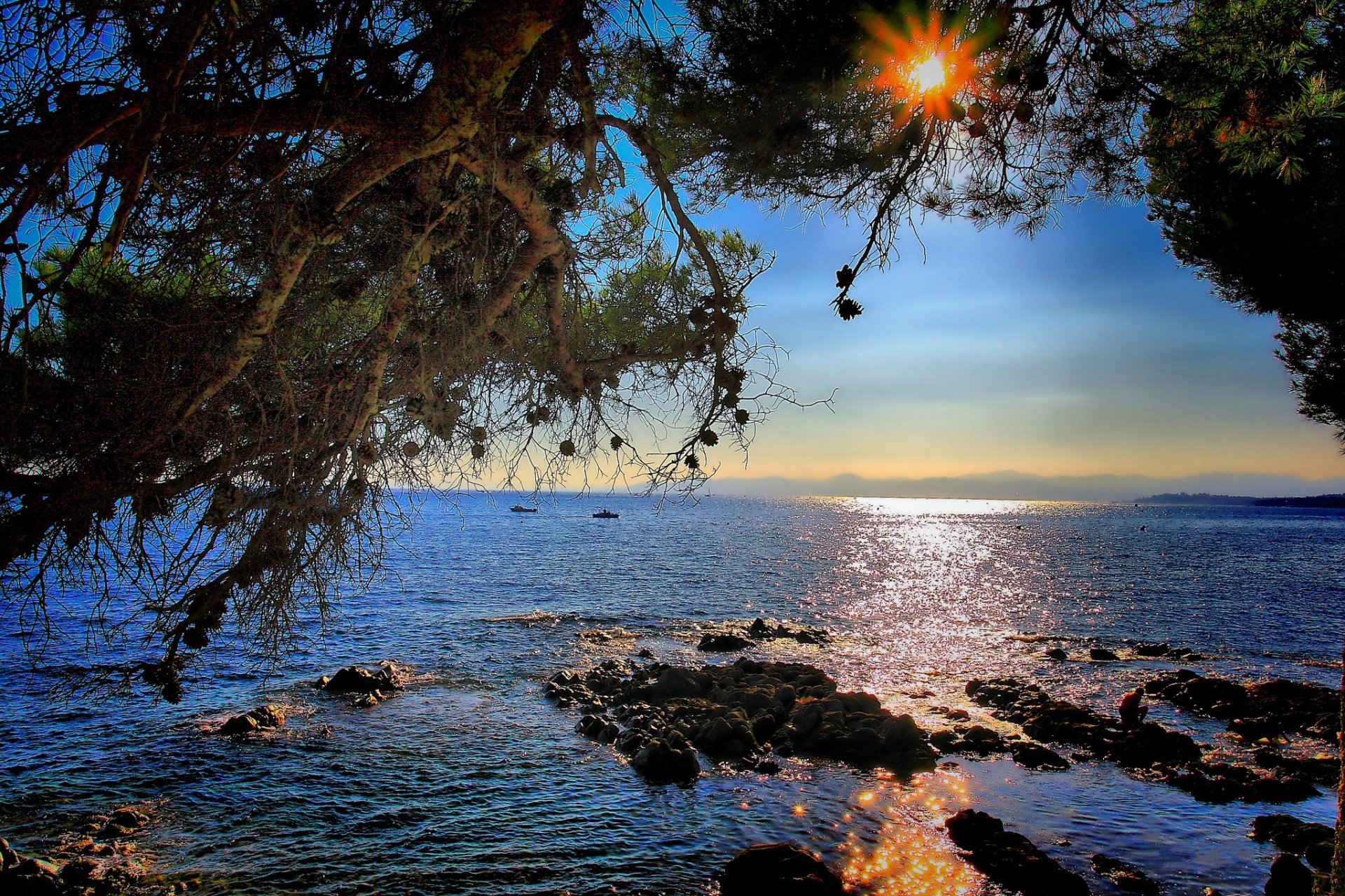 HD PC desktop wallpaper showcasing a serene ocean view framed by tree branches under a bright sun, highlighting the natural beauty of the coastline at sunset.