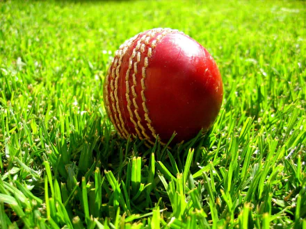 A high-resolution desktop wallpaper featuring a red cricket ball on vibrant green grass, tagged with cricket and sports.