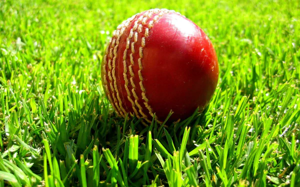 A high-resolution desktop wallpaper featuring a red cricket ball on vibrant green grass, tagged with cricket and sports.