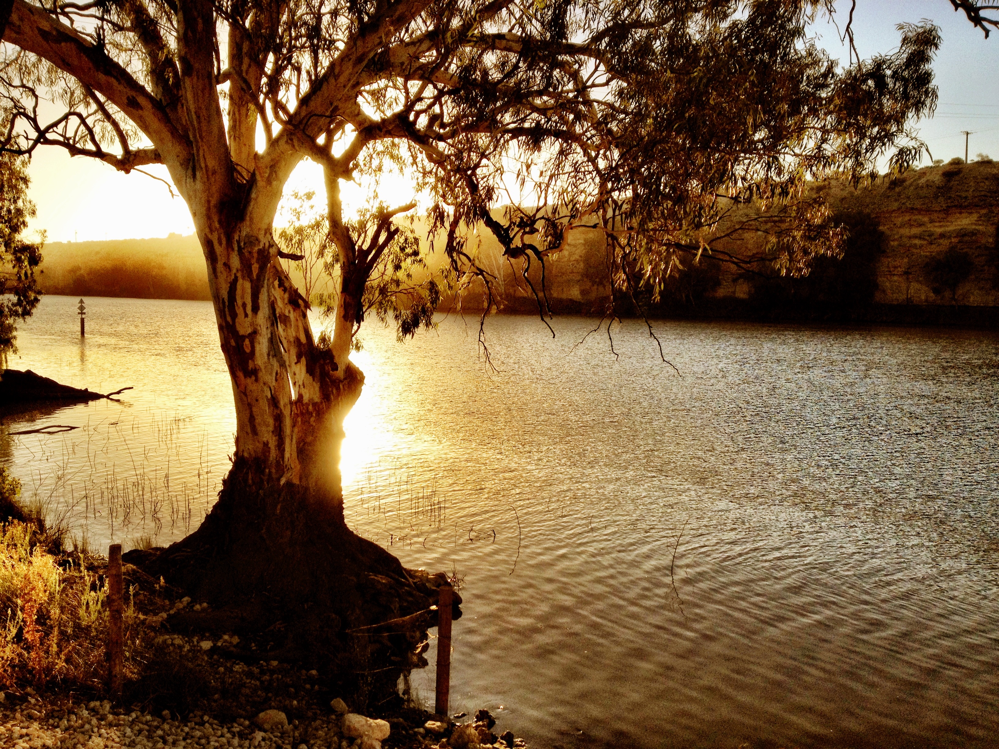 Nature Murray River HD Wallpaper | Background Image