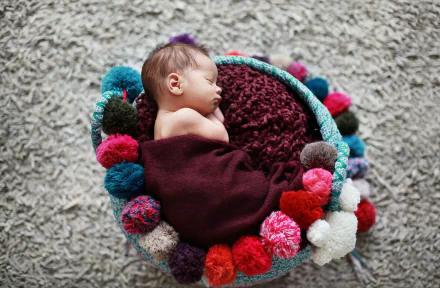 photography baby HD Desktop Wallpaper | Background Image