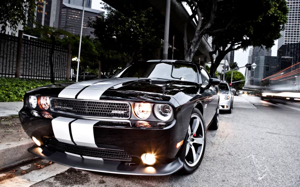 Black Dodge Challenger SRT8 with white racing stripes, front three-quarter view parked on a city street — 2K Quad HD PC desktop wallpaper/background.