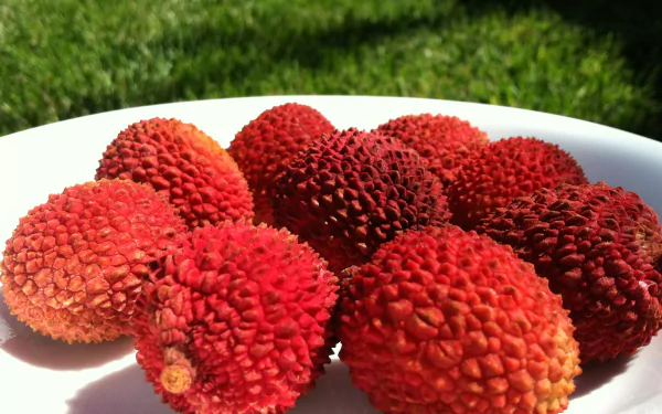 Close-up of red lychee fruits on a white plate with grass background, vibrant food photograph presented as a 2K Quad HD PC desktop wallpaper and background.