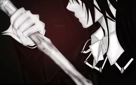 Yuki Cross Anime Vampire Knight HD Desktop Wallpaper | Background Image