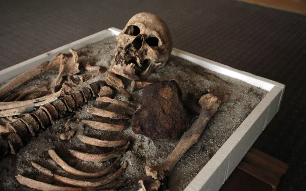 dark skeleton HD Desktop Wallpaper | Background Image