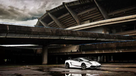 vehicle Lamborghini Gallardo Superleggera HD Desktop Wallpaper | Background Image