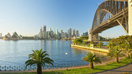 A stunning view of Sydney, featuring the iconic Sydney Opera House and Sydney Harbour Bridge, set against a clear blue sky and tranquil waters, framed by lush palm trees.